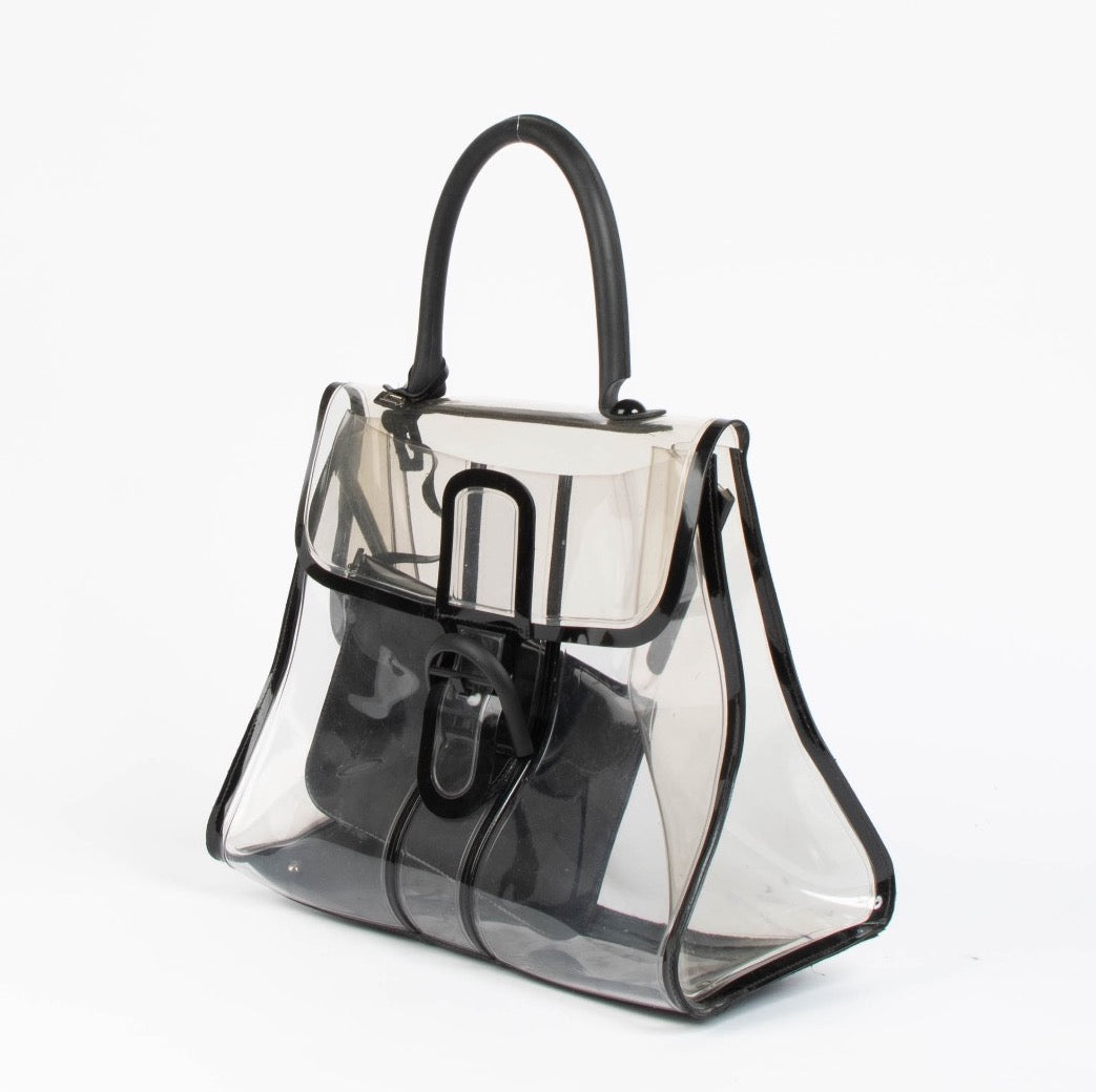 Delvaux Transparant Vinyl Brillant X-Ray handtas