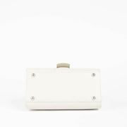 Authentic pre-loved Delvaux Ivory Box Calf Brillant Mini Bag on Labellov.com