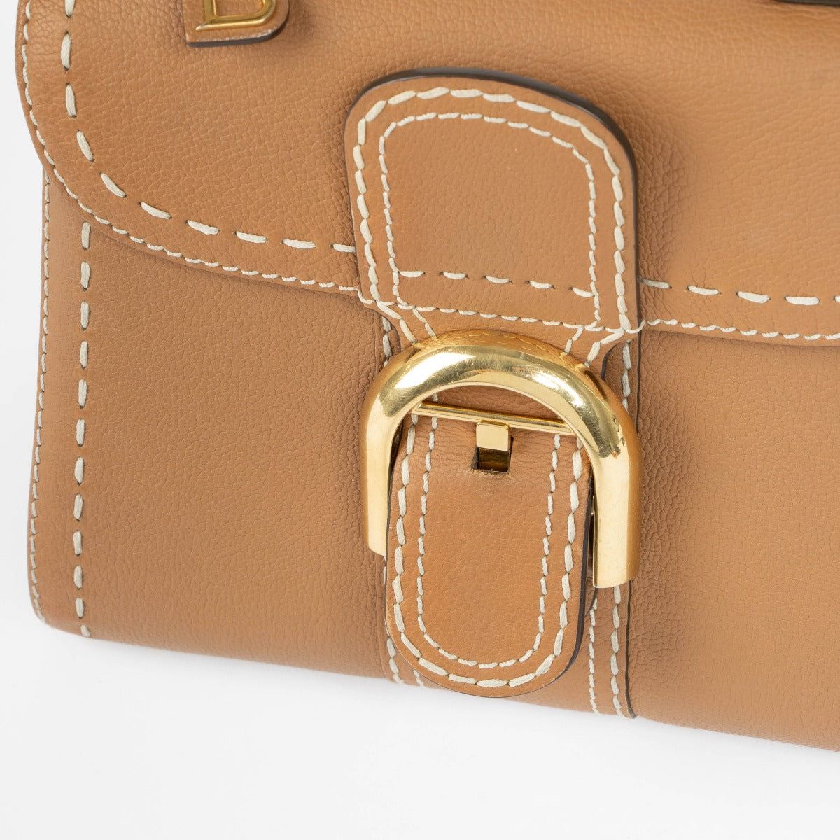 Authentic pre-loved Delvaux Vegetal Rodeo Calf Brillant Mini Surpique Bag on Labellov.com