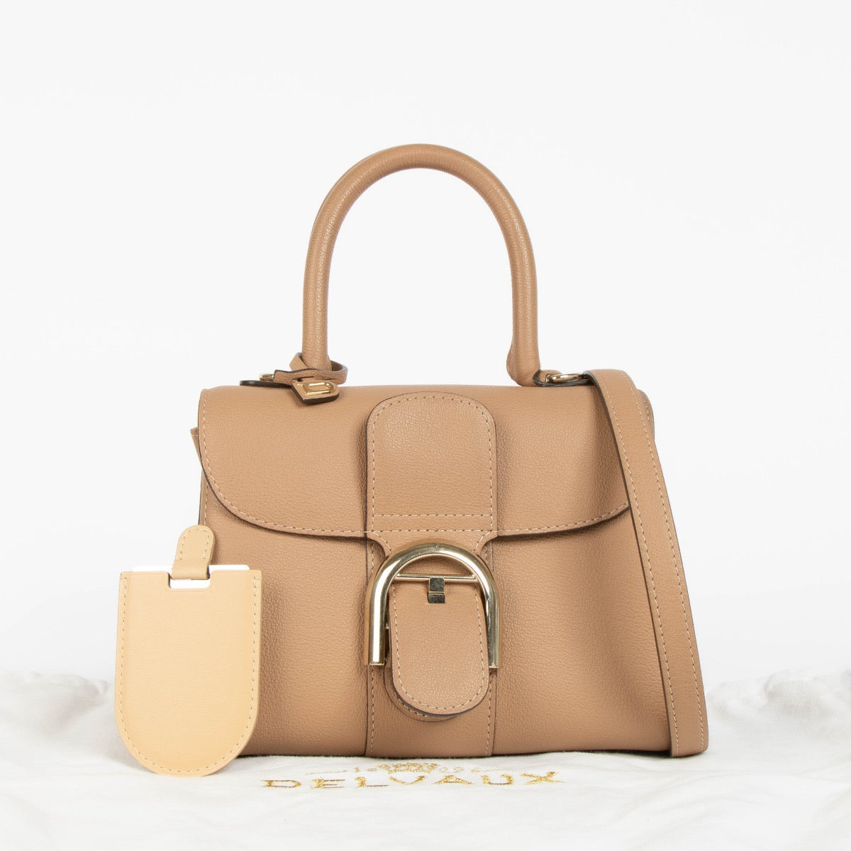 Authentic pre-loved Delvaux Vison Rodeo Calf Brillant Mini on Labellov.com