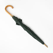Authentic pre-loved Louis Vuitton Green Umbrella on Labellov.com