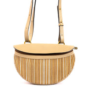Delvaux Beige Toile De Cuir Mini Shoulder Bag