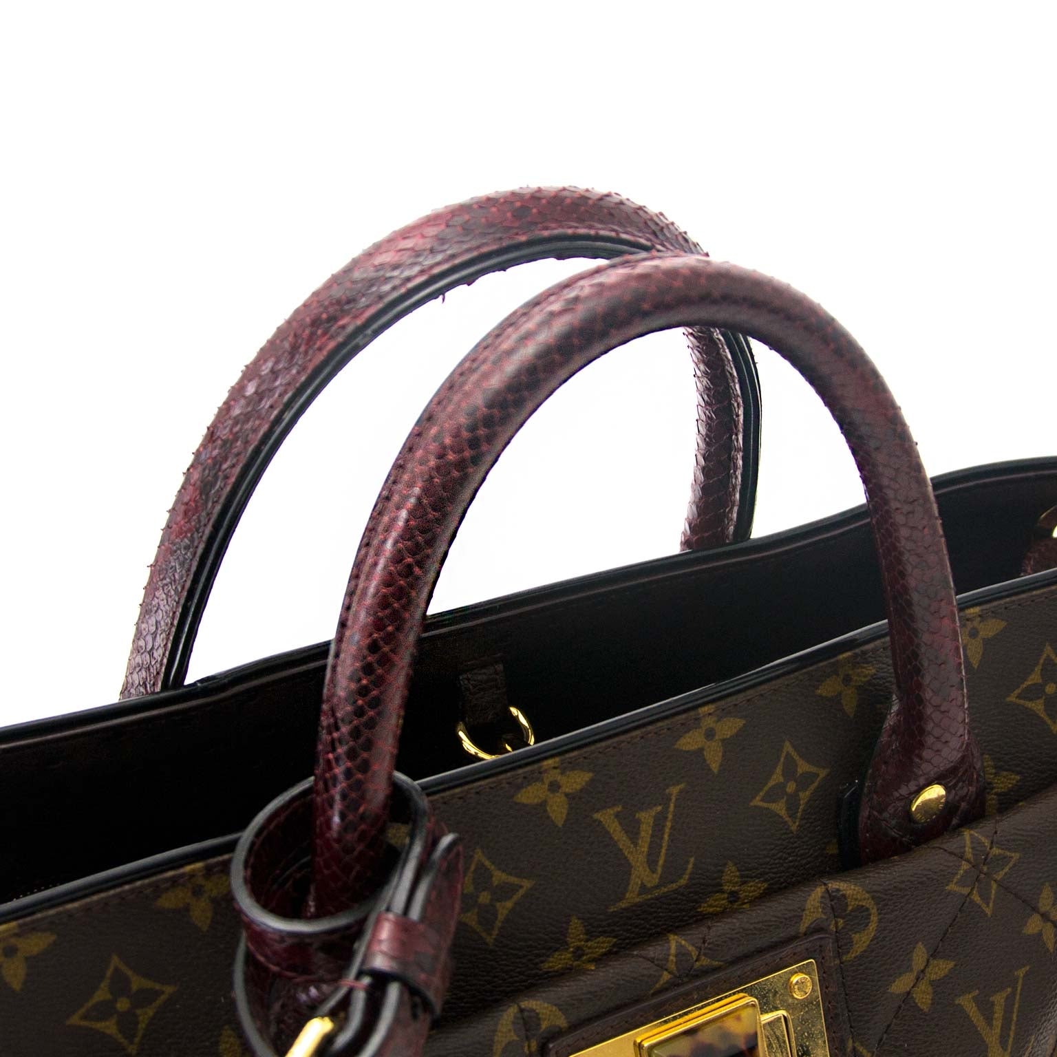 Louis Vuitton Monogram Etoile Exotique GM Tote Bag