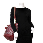 Buy your authentix Louis Vuitton Limited Edition Bordeaux Jacquard Monogram Fabric Aviator Bag