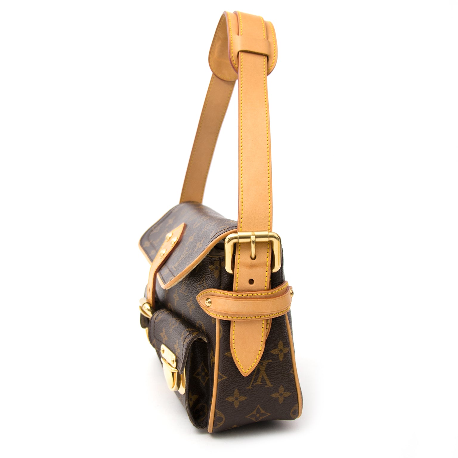 Authentic Louis Vuitton Monogram Hudson Bag