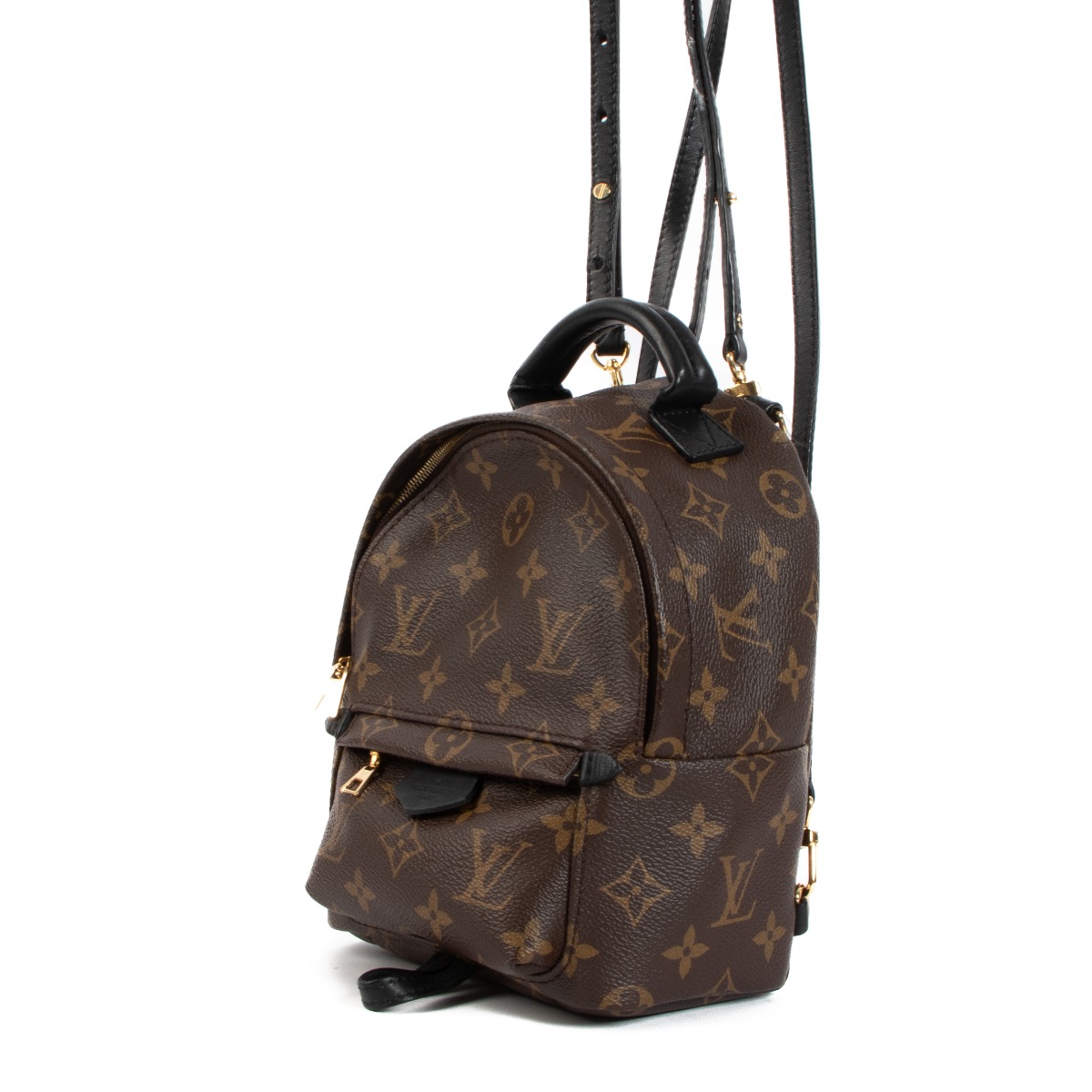 Louis Vuitton Monogram Palm Springs Mini Backpack ○ Labellov ○ Buy and Sell  Authentic Luxury
