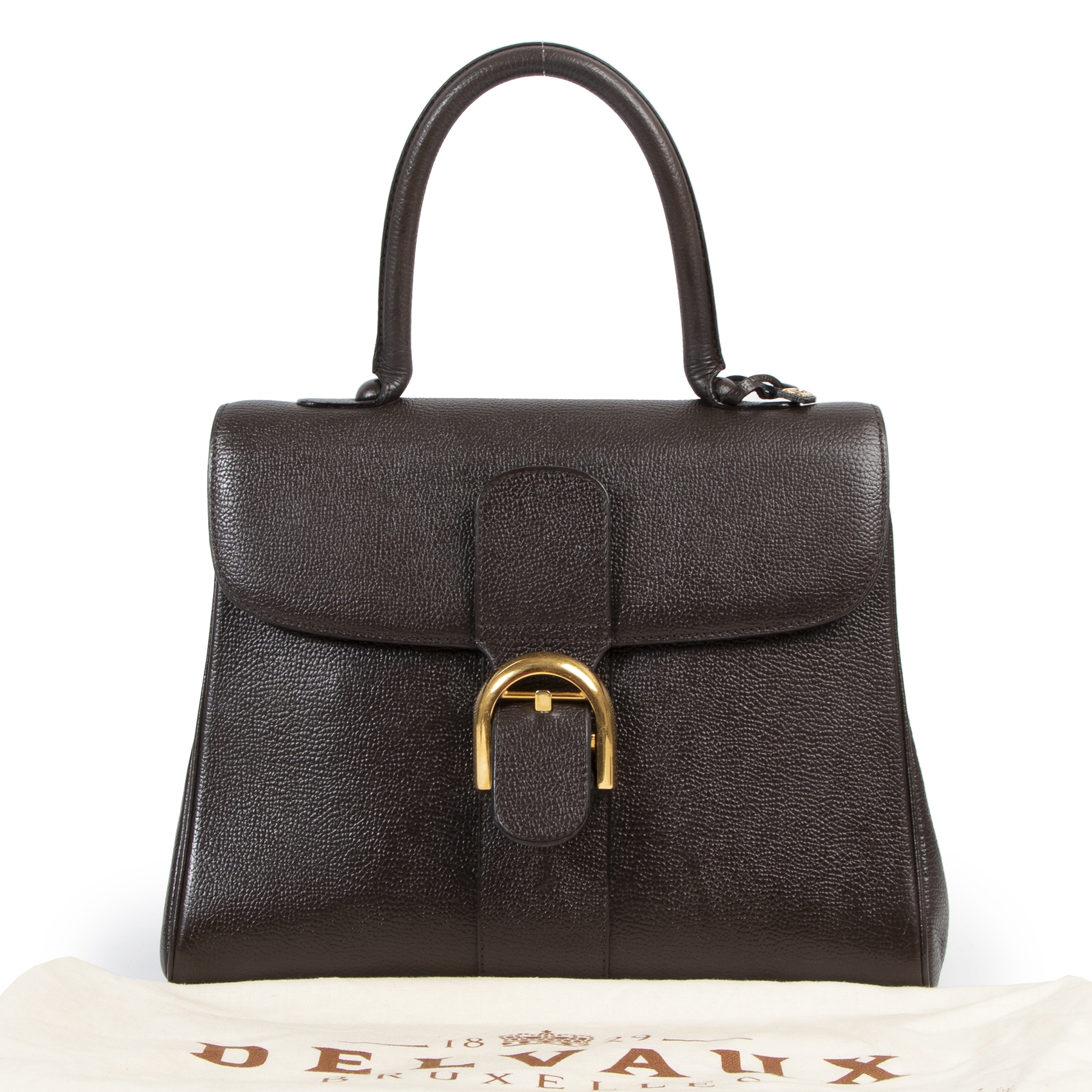 delvaux bag online