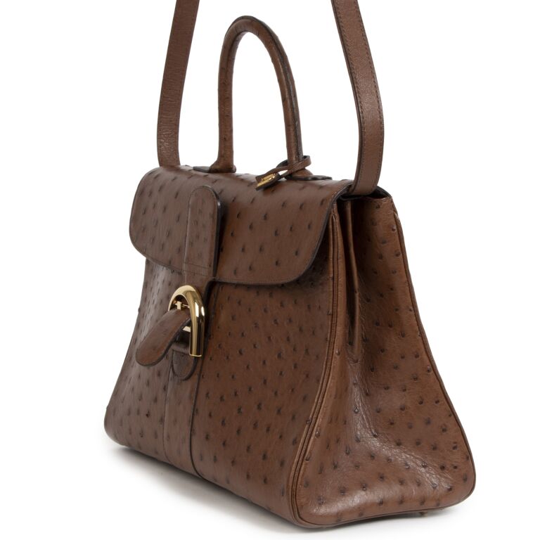 Delvaux Brown Bicolor Ostrich Brillant ○ Labellov ○ Buy and Sell Authentic  Luxury