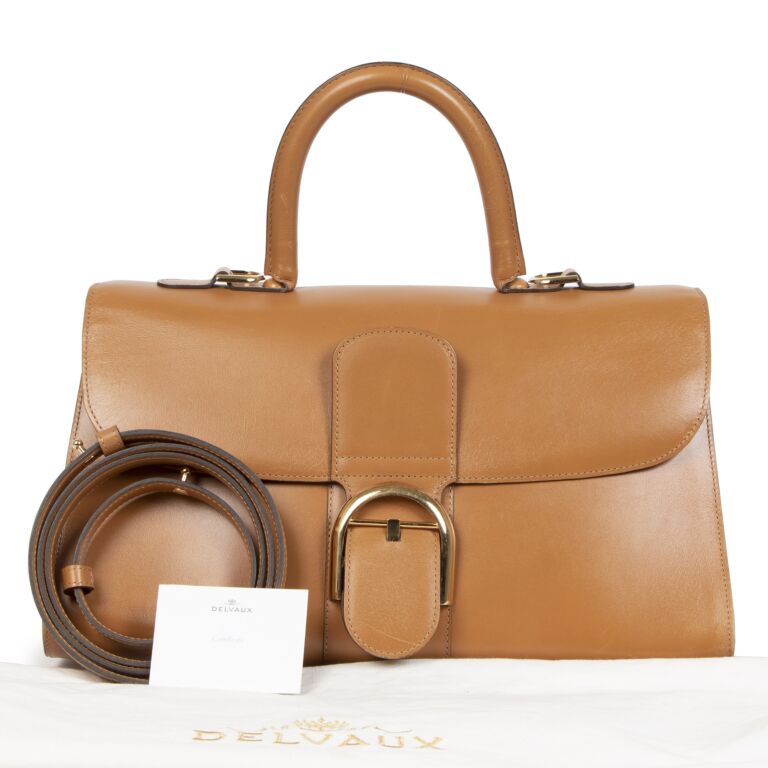 Pre-owned Delvaux Tempête Leather Handbag In Camel