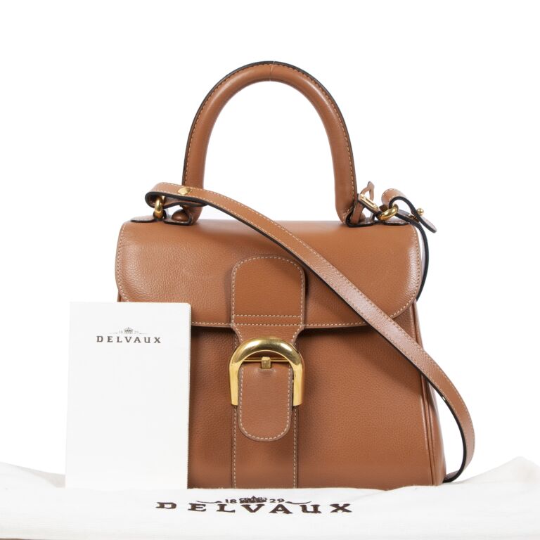 Delvaux Fauve Brillant PM + Strap ○ Labellov ○ Buy and Sell Authentic Luxury