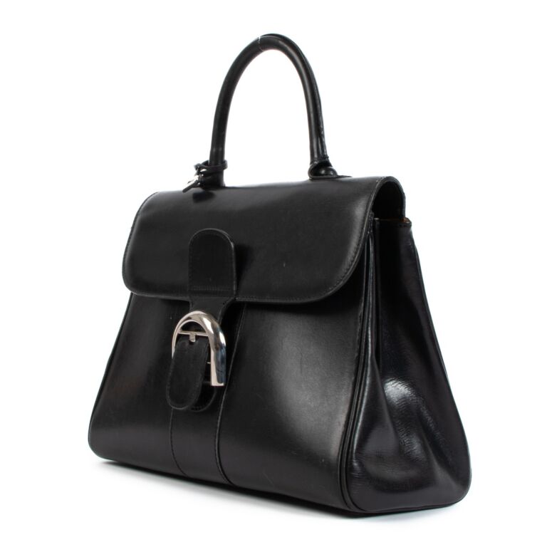 DELVAUX Brillant PM Box Calf, 名牌, 手袋及銀包- Carousell