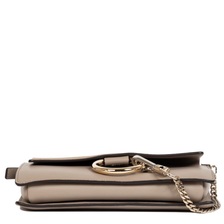 Chloe Faye Smooth/Suede Small Motty Grey in Calfskin with  Gold-tone/Silver-tone - US