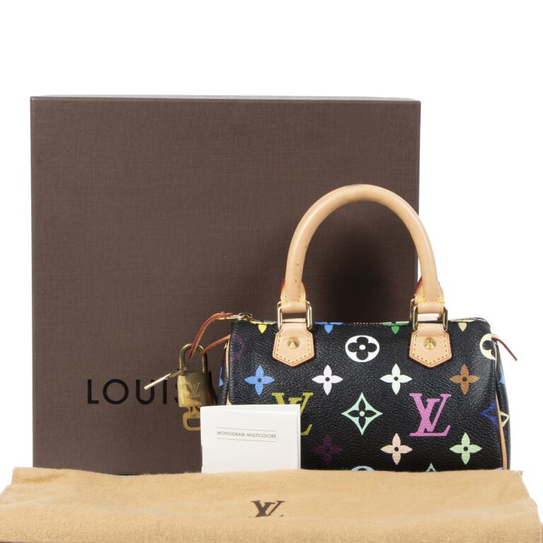 Louis Vuitton Murakami Speedy - Lucky Vintage