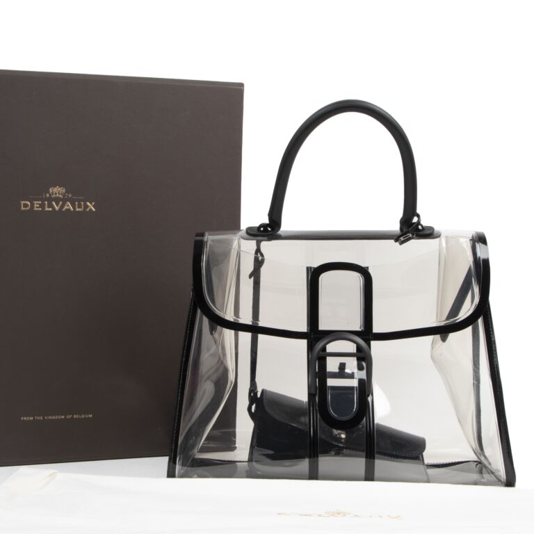 The DELVAUX BRILLANT LUXURY BAG Overview (Everything You Need To