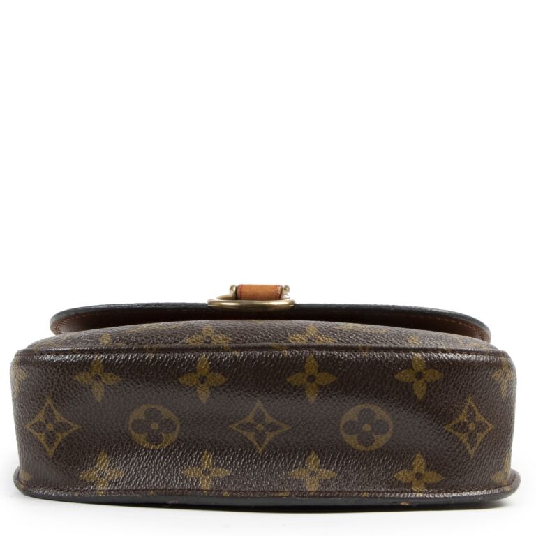 Louis Vuitton Monogram Saint Cloud PM Crossbody Bag Leather ref.530255 -  Joli Closet