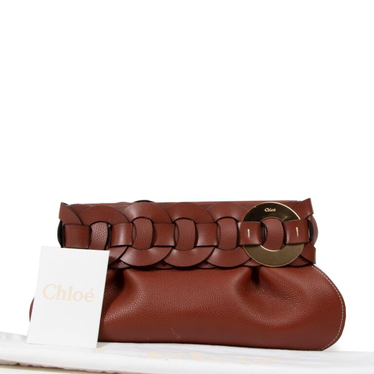 Chloé Darryl Small Pouch Clutch Bag in Brown