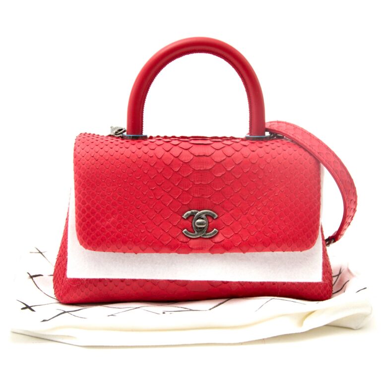 Never Worn Chanel Mini Coco Handle Python Bag ○ Labellov ○ Buy