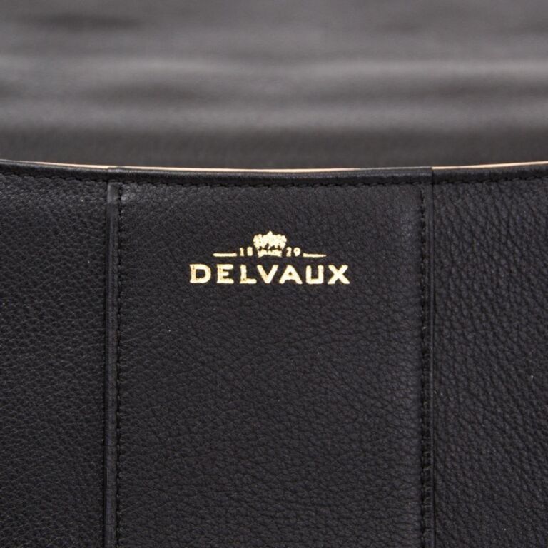 Delvaux Brillant East West Pecari Box Calfskin Leather at 1stDibs