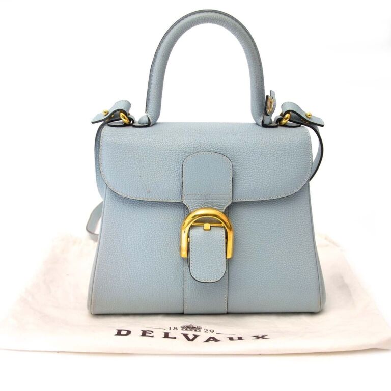 Delvaux Baby Blue Brillant With Strap PM ○ Labellov ○ Buy and Sell  Authentic Luxury
