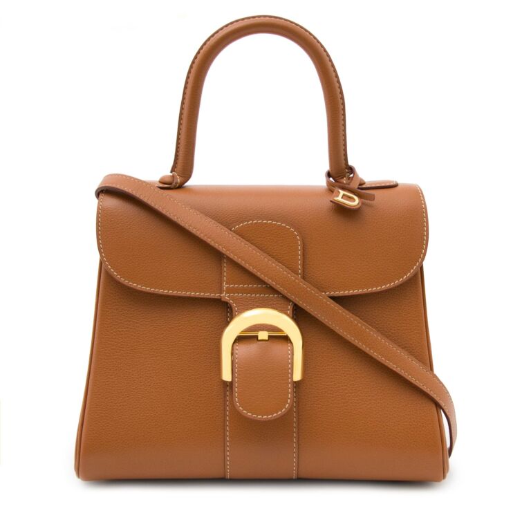 Delvaux Brillant PM Beige Handbag at 1stDibs