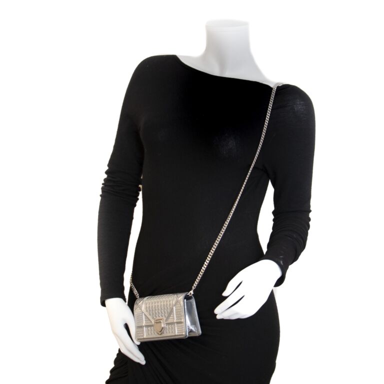 Dior Diorama Mini Silver Bag ○ Labellov ○ Buy and Sell Authentic Luxury
