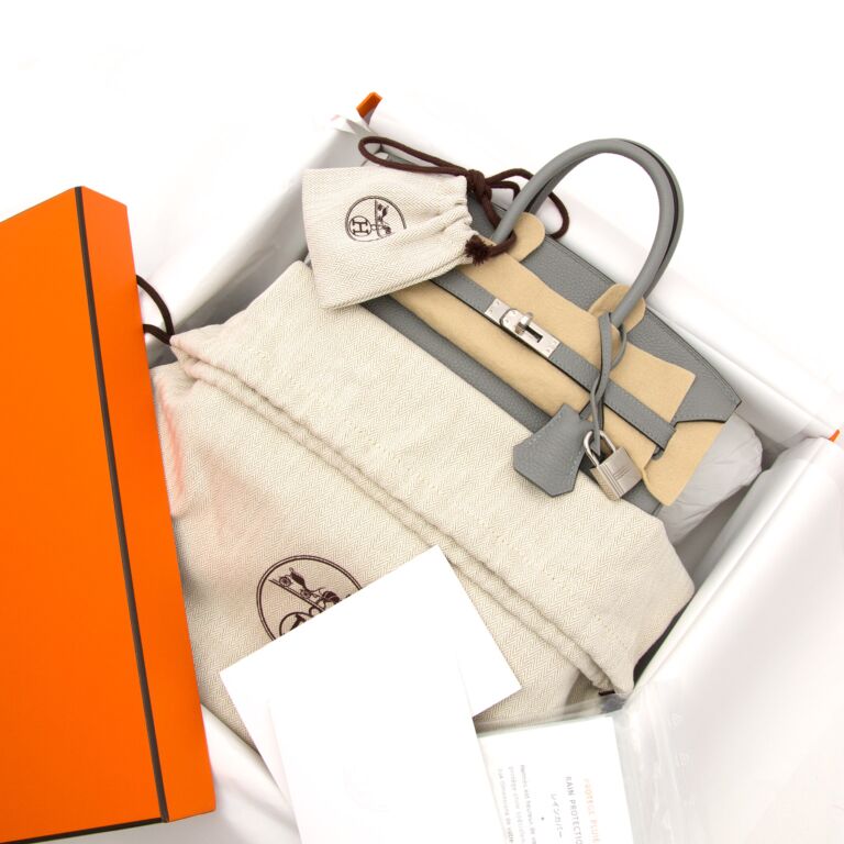 Hermes Birkin Bag 25cm Gris Mouette Togo Palladium Hardware