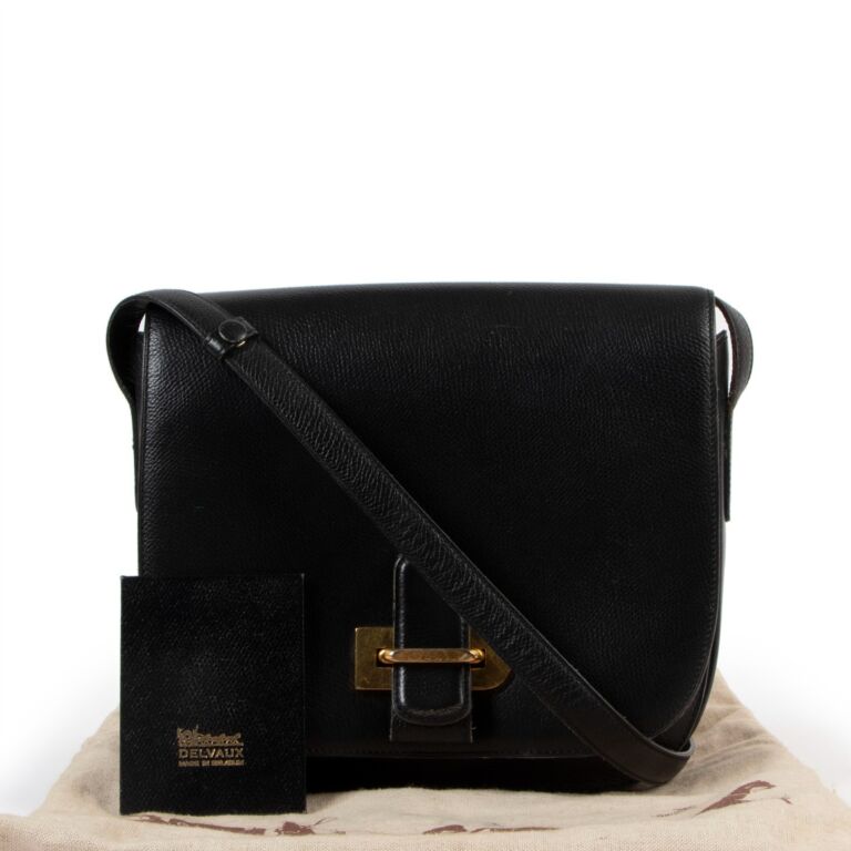 Cool box leather crossbody bag Delvaux Black in Leather - 37247149