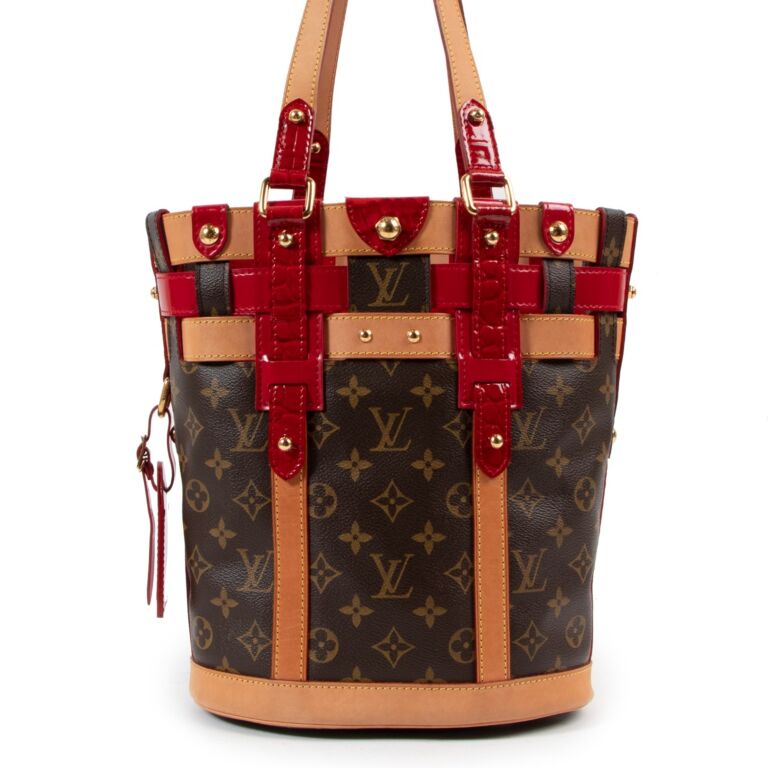 Louis Vuitton, Bags, Louis Vuitton Rubis Salina Neo Bucket Bag Pm
