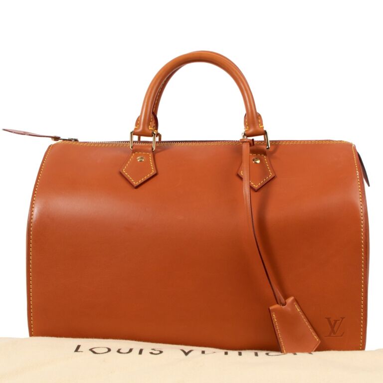 Speedy leather handbag Louis Vuitton Multicolour in Leather - 33082592