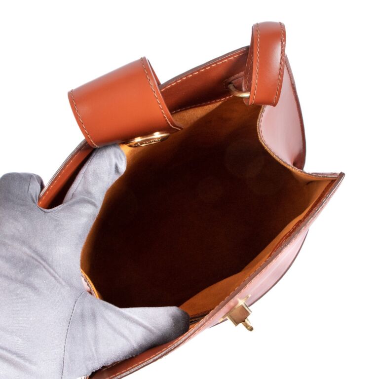 Louis Vuitton LV Cluny Kenyan Handbag EPI Brown Leather Bag