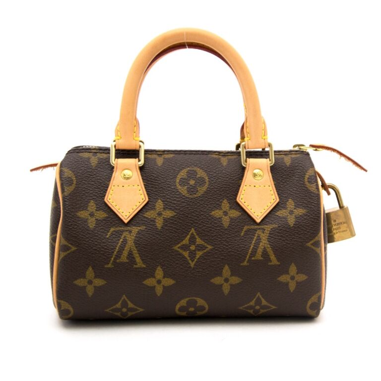 Icons Louis Vuitton Neverfull  The Bag Hoarder