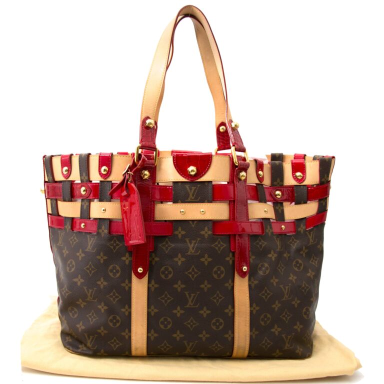 Louis Vuitton Authenticated Rubis Salina Handbag