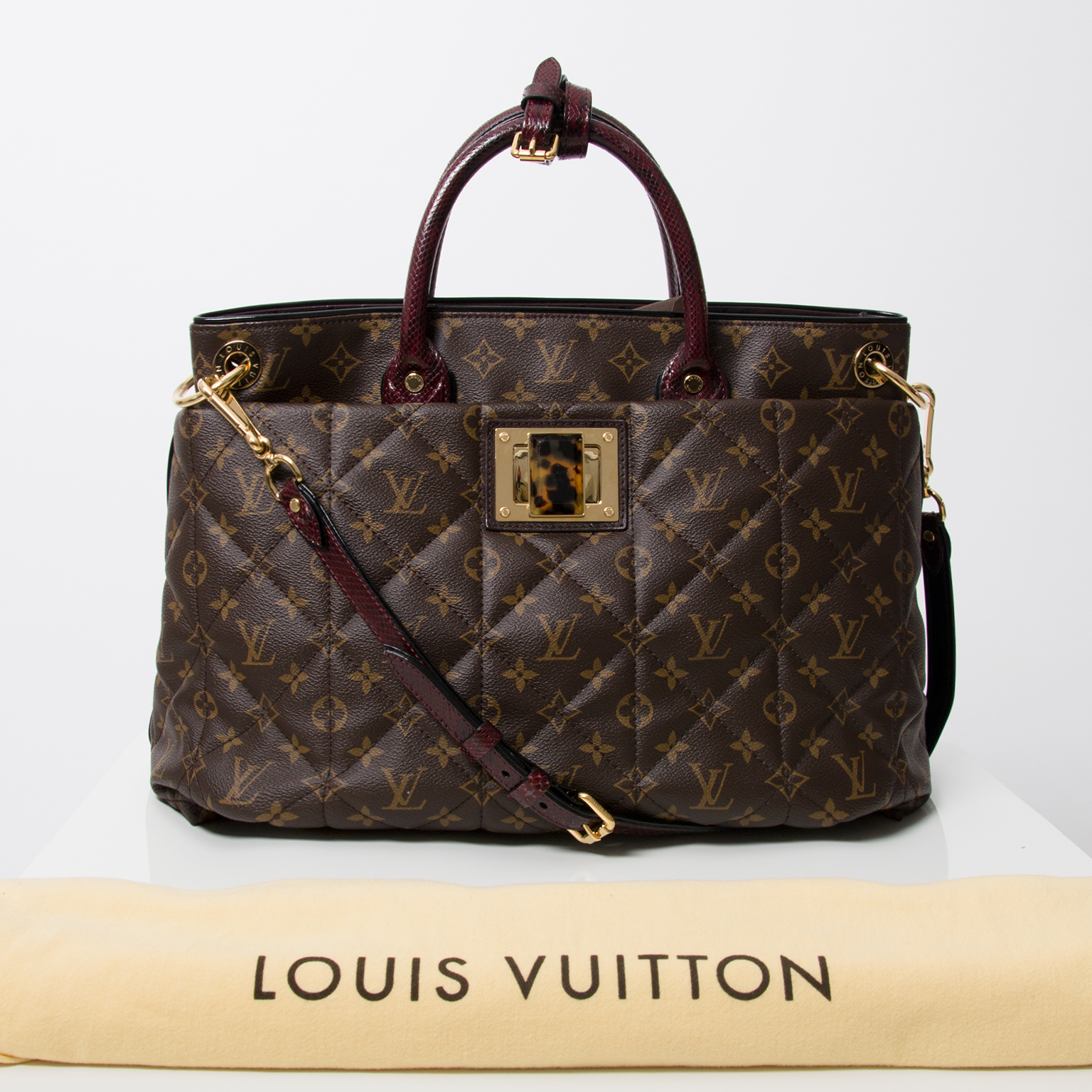 Louis Vuitton Etoile Exotique Tote GM Brown Cloth ref.171584 - Joli Closet