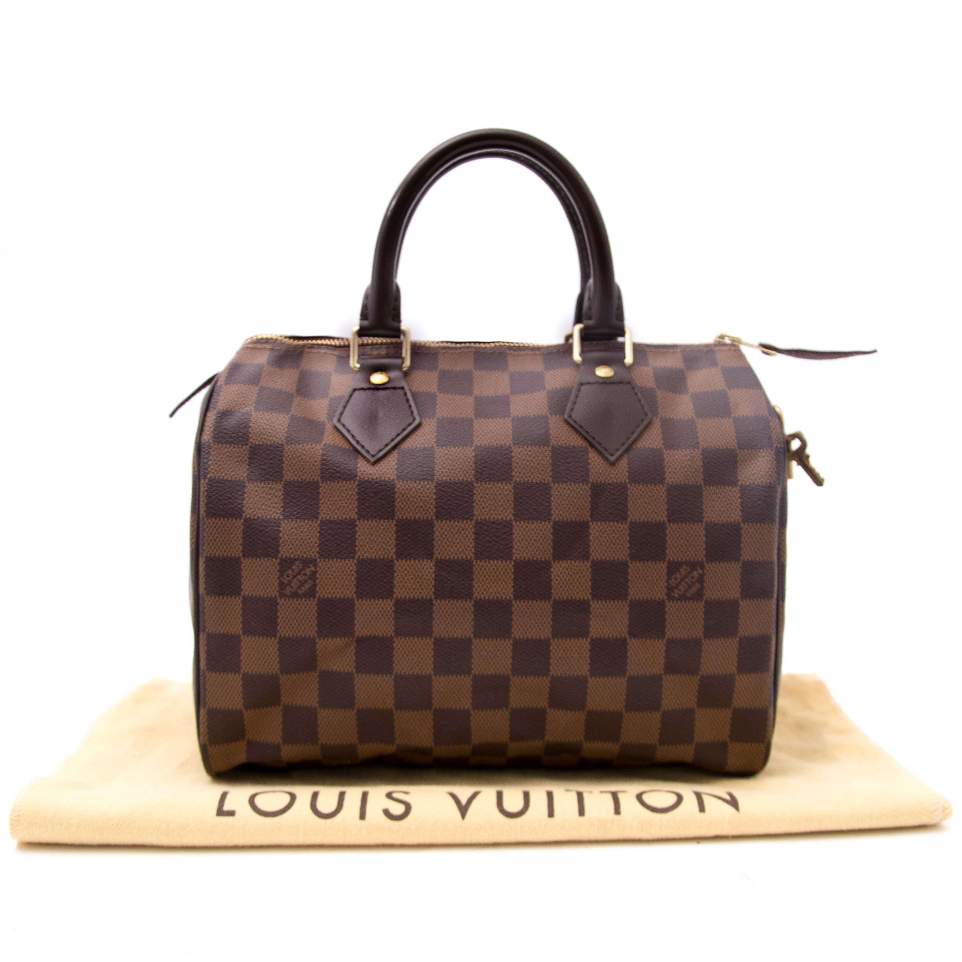 Louis Vuitton Monogram Speedy Silk Twilly Scarf ○ Labellov ○ Buy and Sell  Authentic Luxury