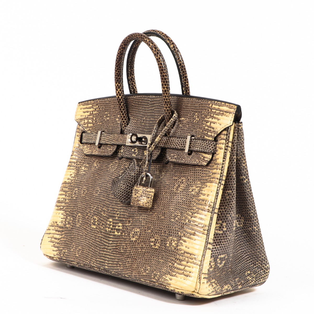 AN OMBRÉ SALVATOR LIZARD BIRKIN 25 WITH PALLADIUM HARDWARE, HERMÈS