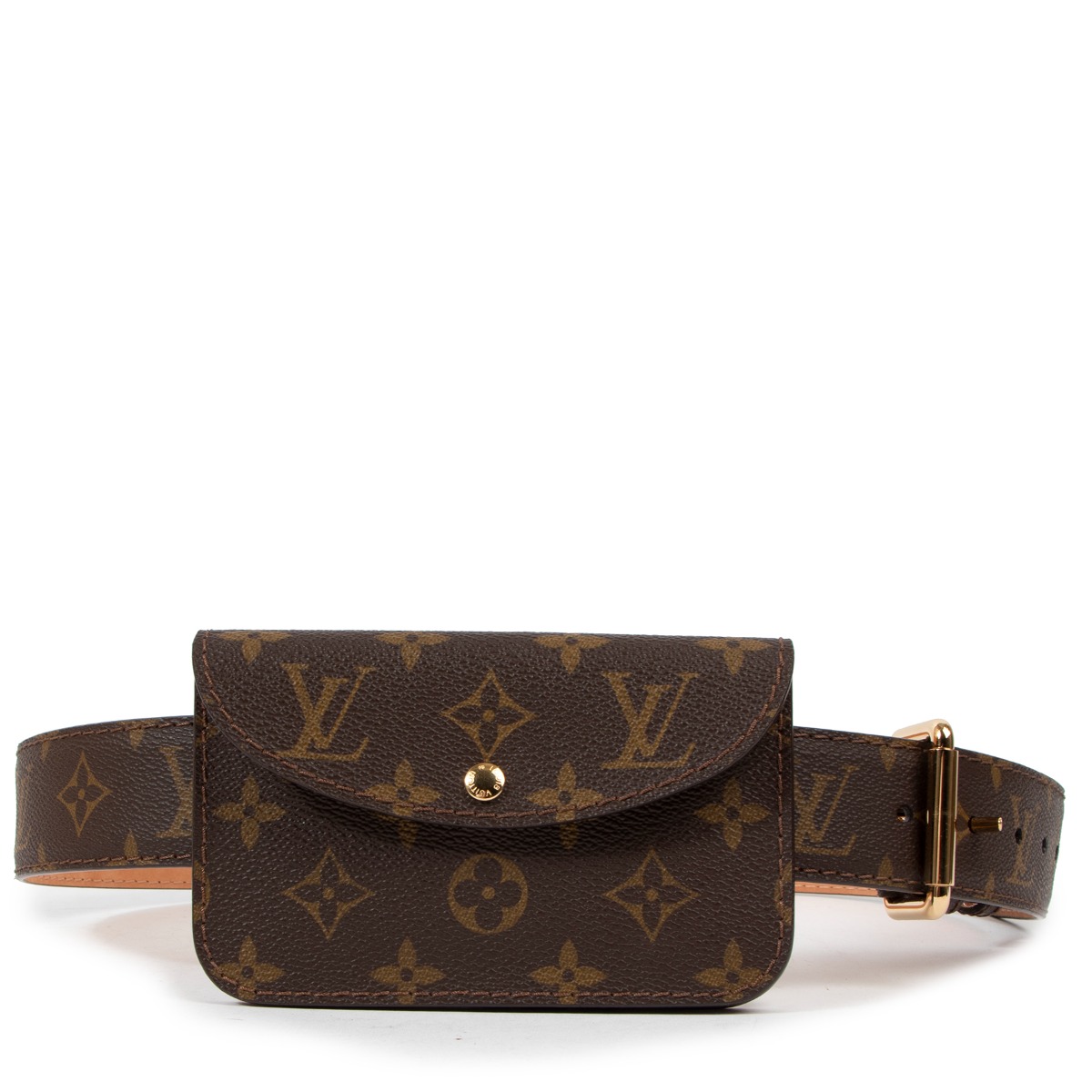 Louis Vuitton Saint Tulle Pochette Duo Waist bag belt Monogram Brown Men