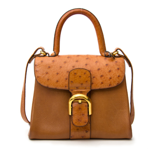 Delvaux Brown Ostrich Brillant PM Labellov Buy and Sell Authentic Luxury
