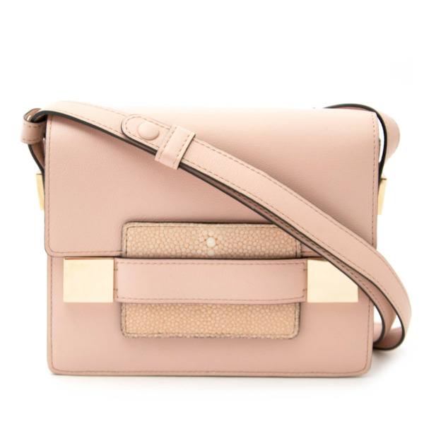 DELVAUX Madame PM Pink Hardware Crossbody Bag – Fashion Reloved