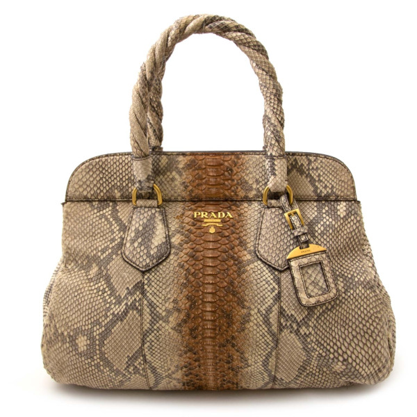 Prada Python Frame Bag Labellov Buy and Sell Authentic Luxury